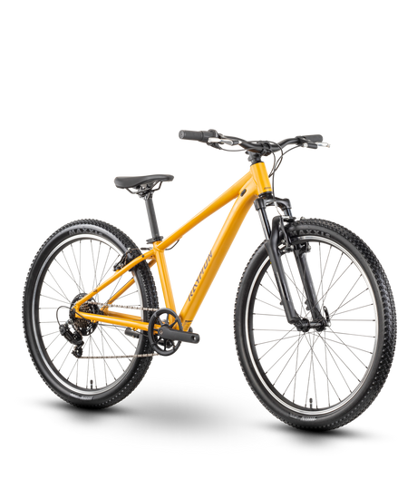 Raymon Nayta 26 Comp kurkuma