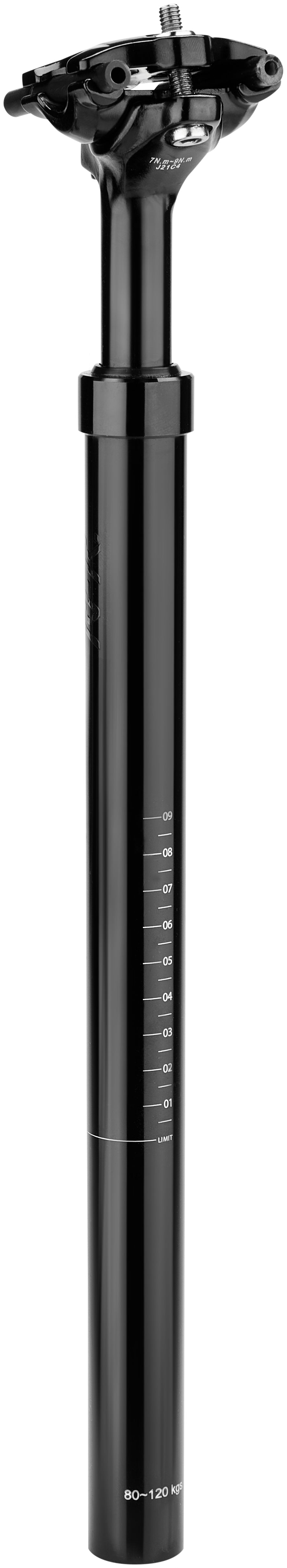 RFR Geveerde zadelpen (80 - 120 kg) black