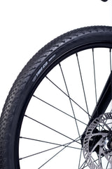 ACCADEMY S-grade Gravel 5 24" Forest (2025)