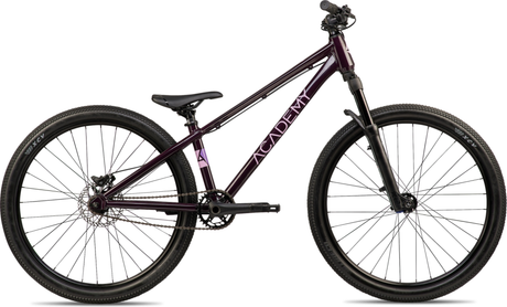 Academy PUMP 6 Pruim