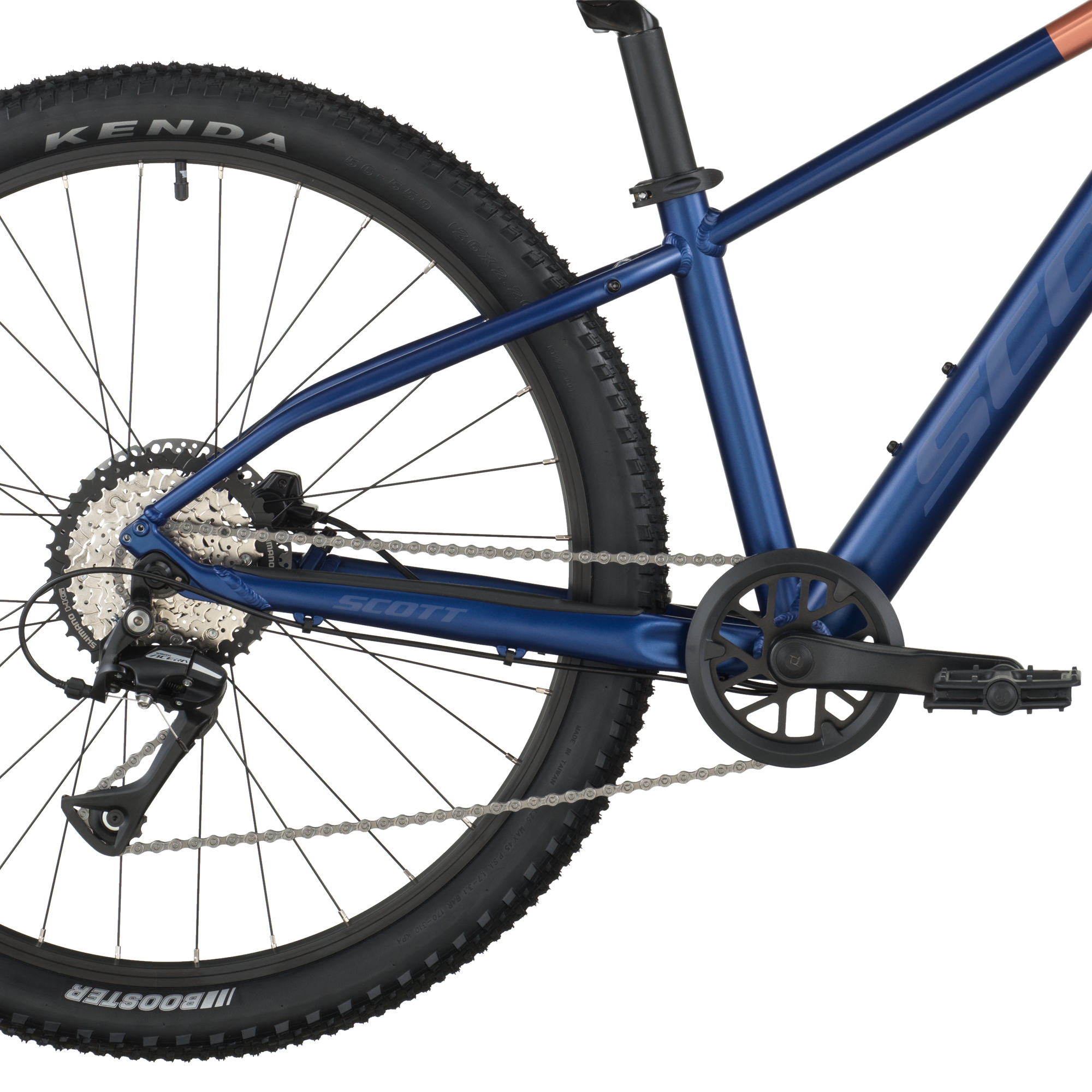 Scott Scale 600 clematis blauw (2025)